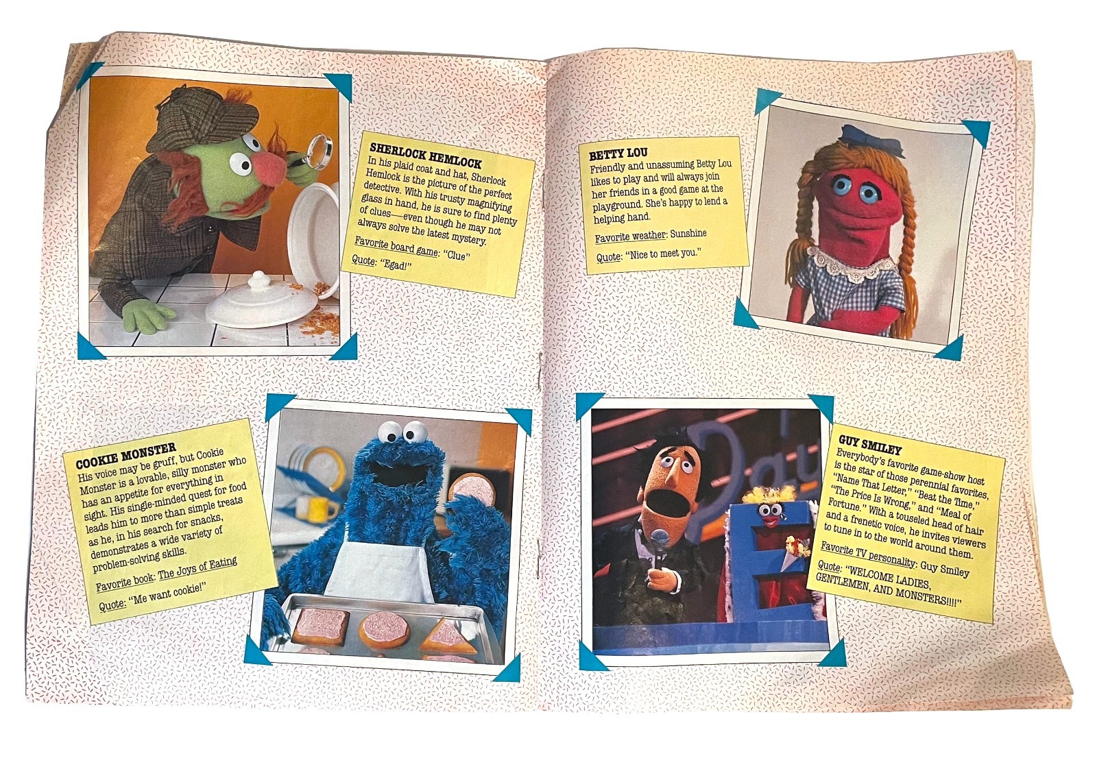 Sesame Street Family Album – 20 Years and Still Counting – 1989 Photo Book