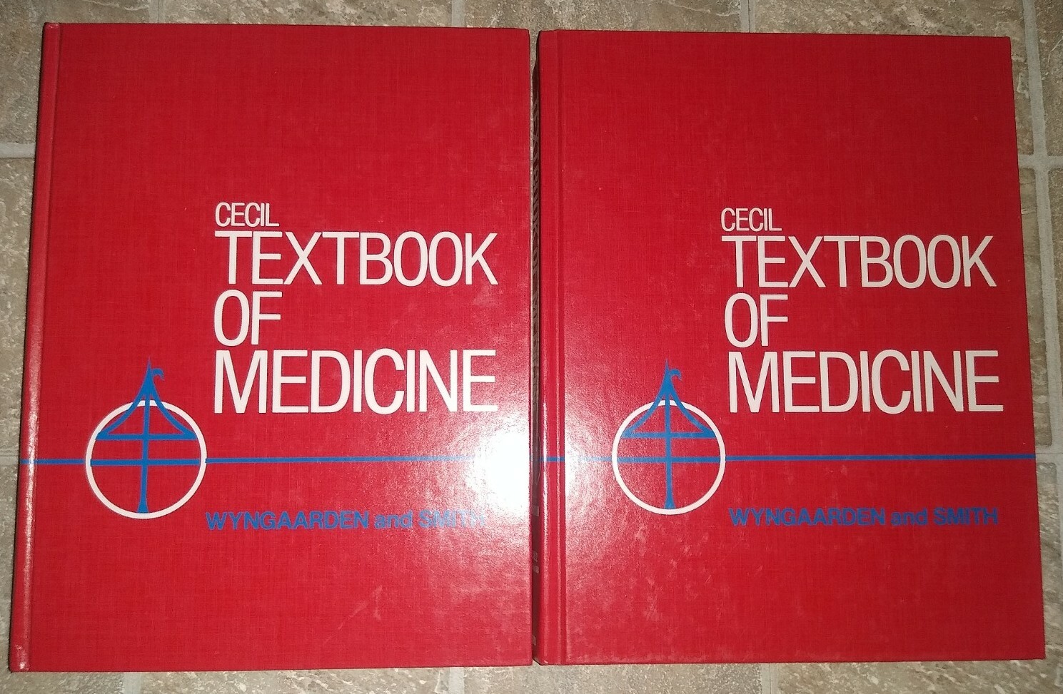 Set of 2 Vintage Cecil Textbook of Medicine Wyngaarden & Smith 18th Edition