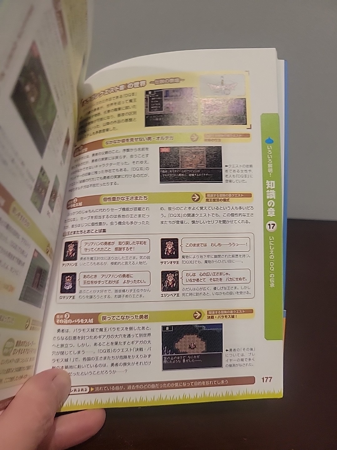 Dragon Quest 11 Players Guide Japanese Lanungeドラゴンクエスト11 RPG