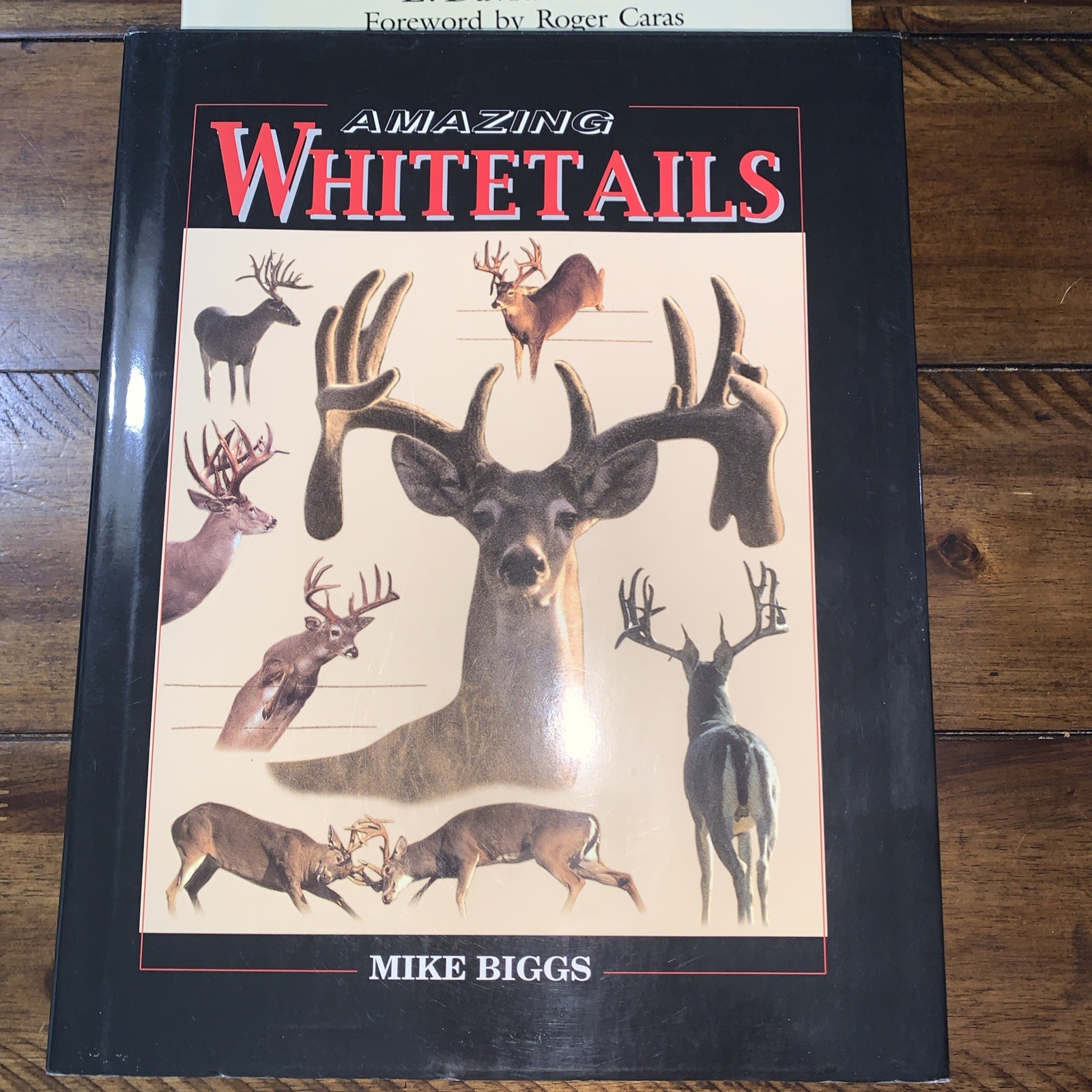 Lot of 4 Books About Wildlife And Hunting Various Titles Various Dates Good