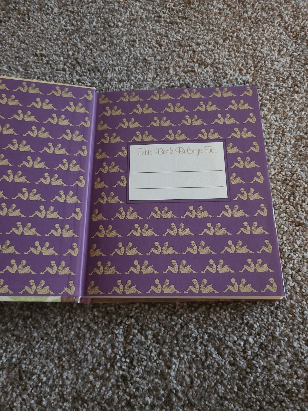 Aesops Fables illustrated by Nora Fry Book Longmeadow Press HC 1988 1st Edition