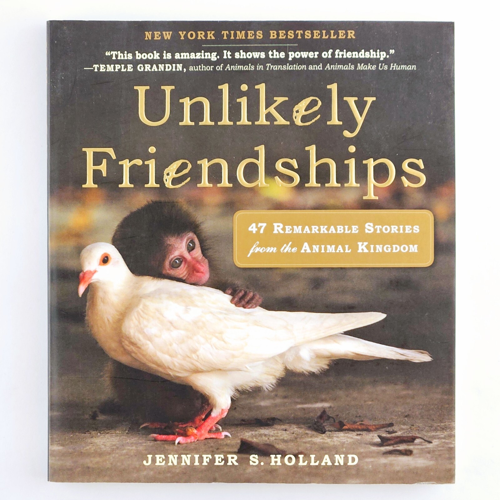 Unlikely Friendships Jennifer S. Holland Gift Book Adorable Animal Stories