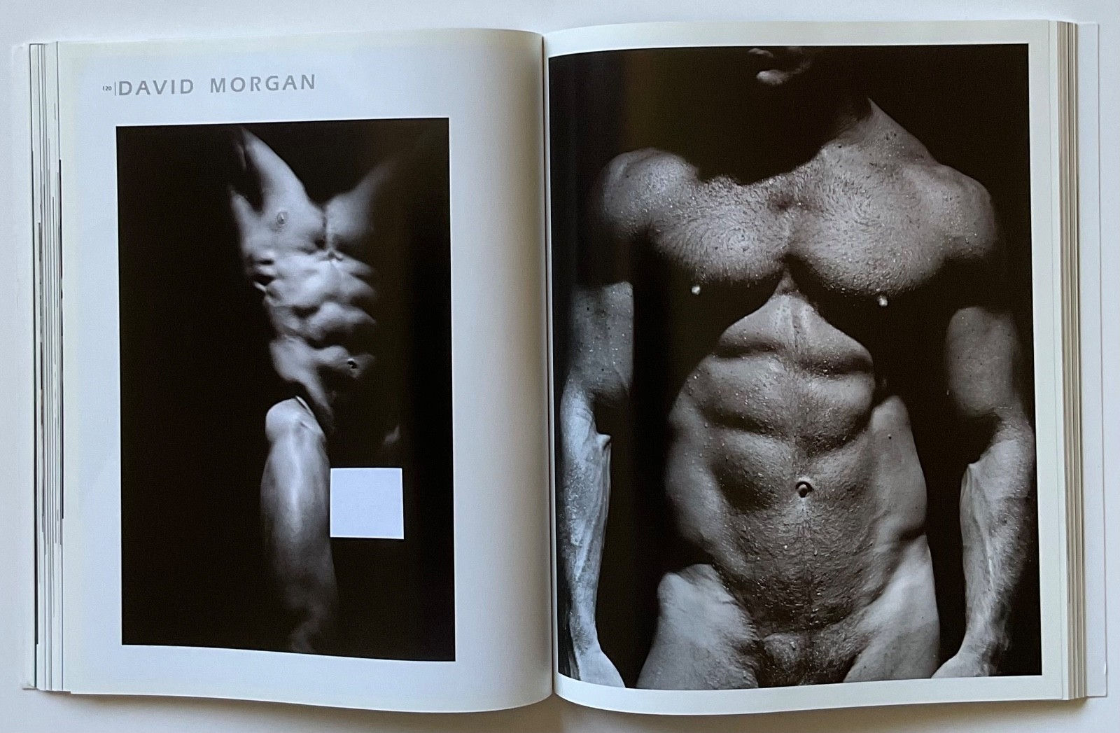 ADONIS Masterpieces of Erotic Male Photography OOP 1999 Book HERB RITTS ++++