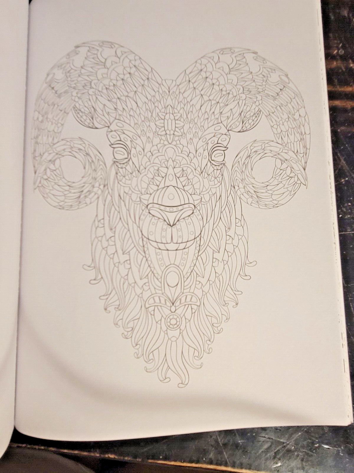 COLORS OF THE WILD! Vol. 18 Adult Coloring Book With 47 Prints Ready To Frame!