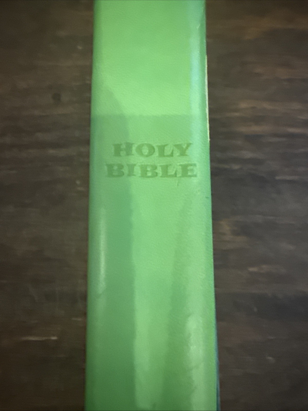 Veggie Tales Leather Bible Leather