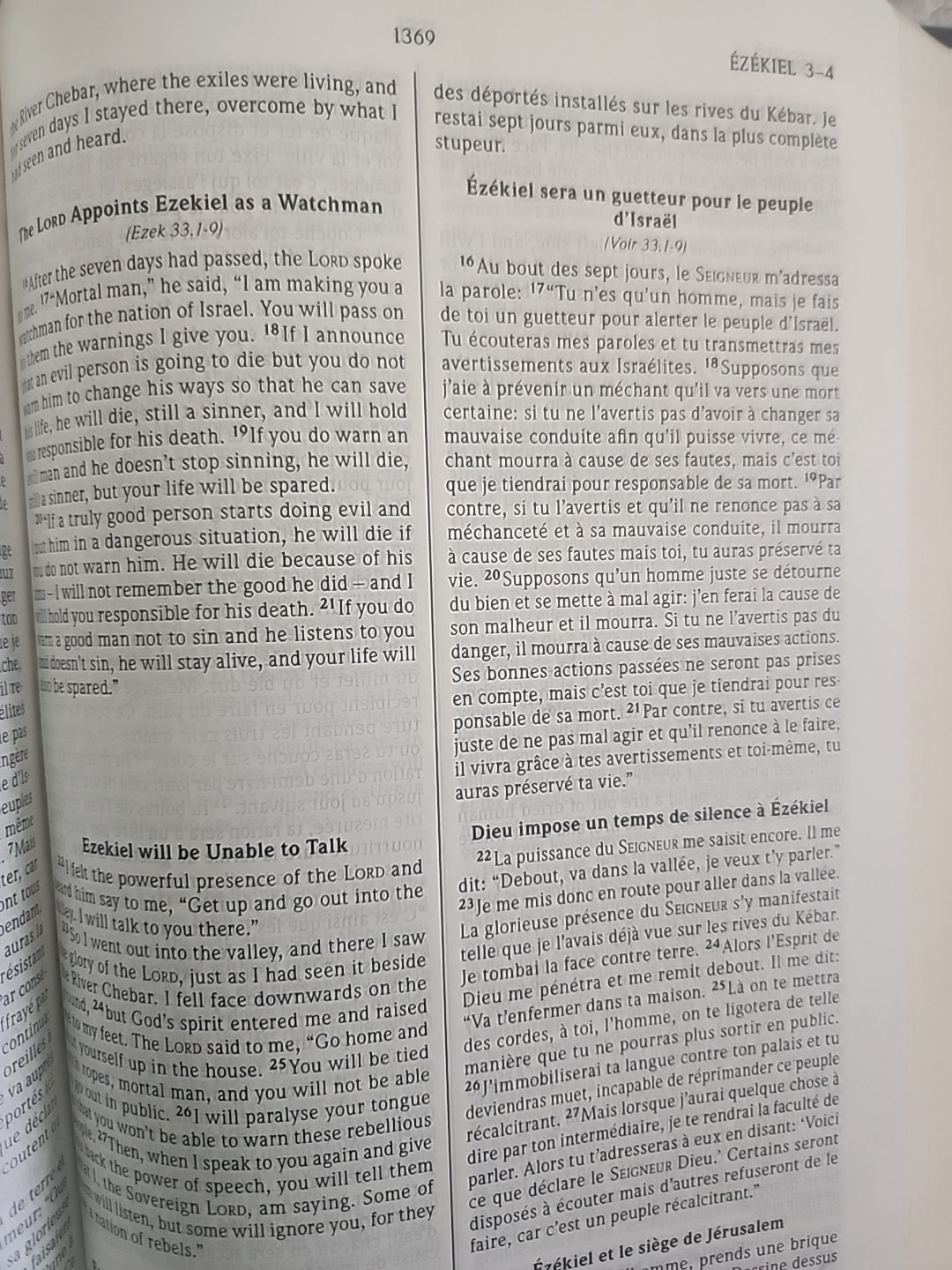 Bible Bilingual Edition, French/English Good News Translation Vinyl soft cover