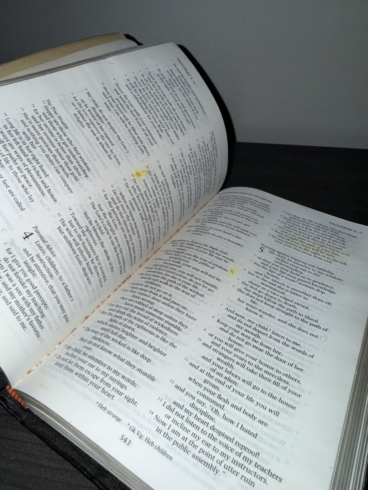 Cambridge Bible Text Edition French Morocco Leather NRSV 2002 Photina 747 (READ)