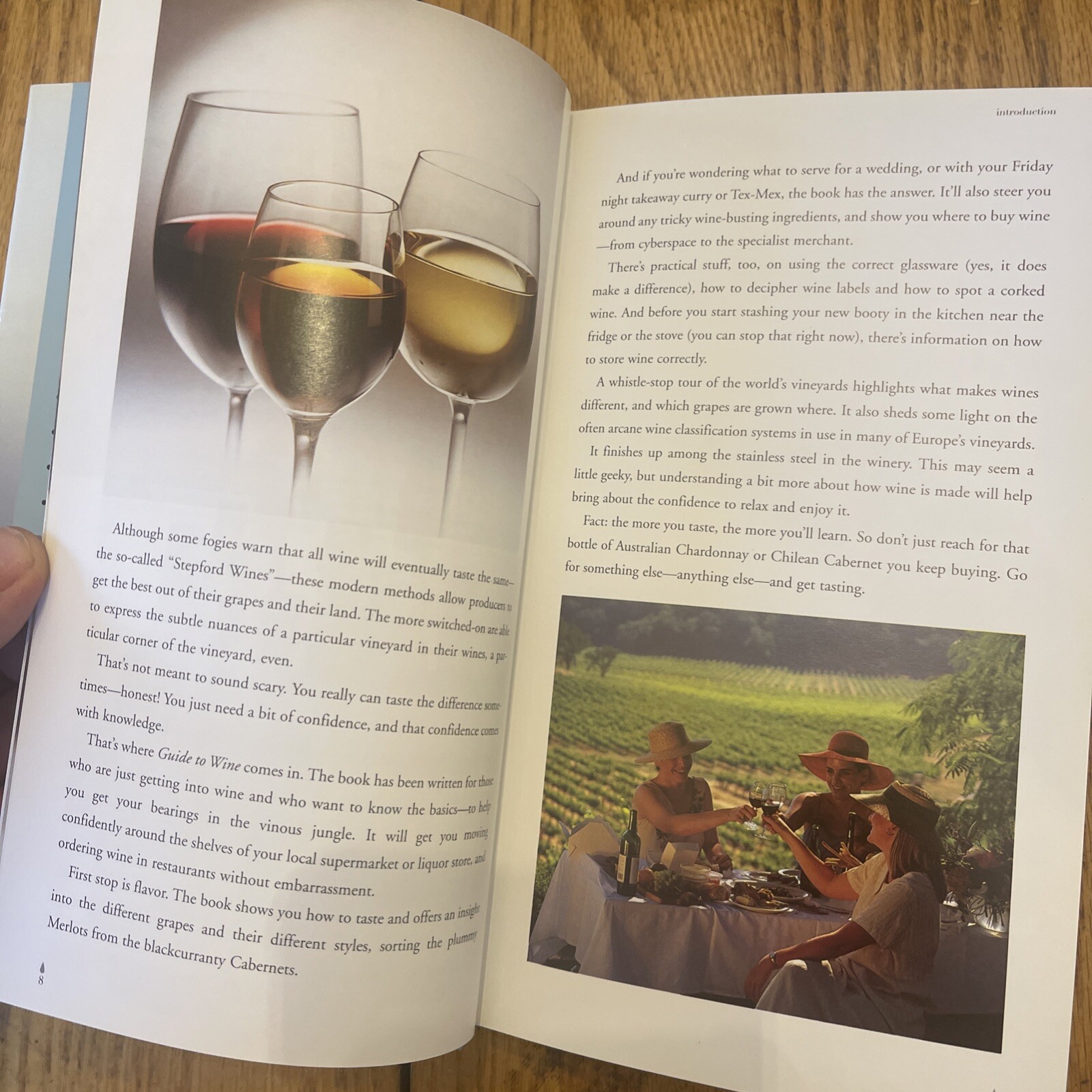 Guide to Wine (Drinks Books) by Fiona Sims