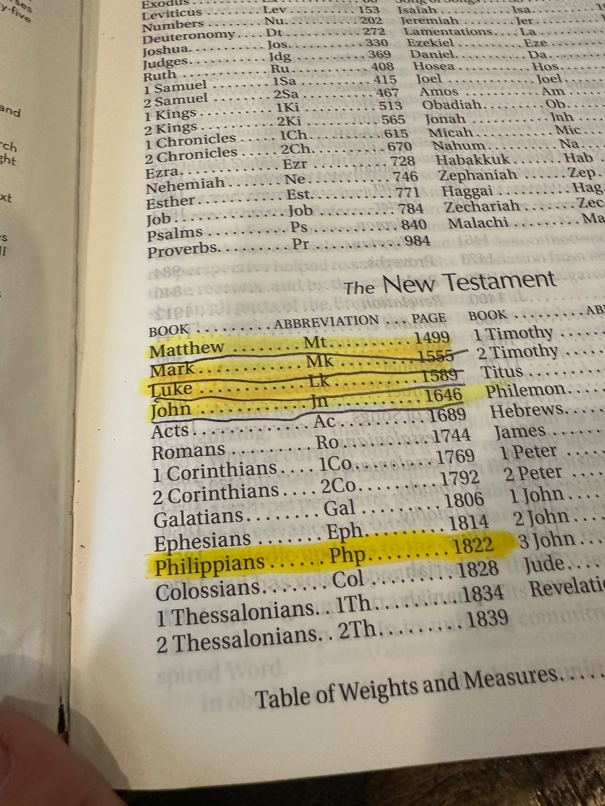 NIV Bible Large Print Italian DuoTone Zondervan in Box