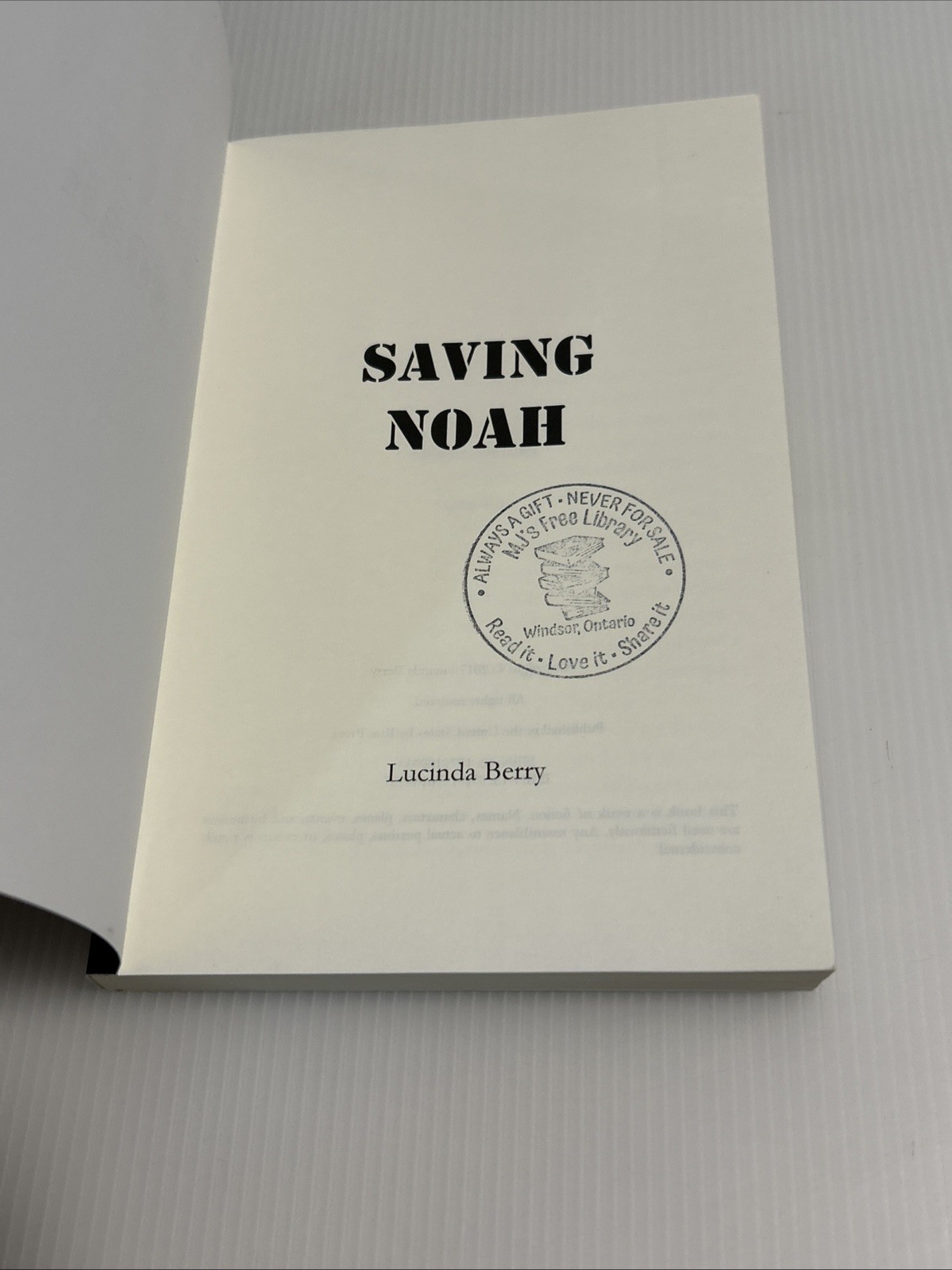 Saving Noah by Lucinda Berry Paperback 2017 Novel – Psychological Thriller NEW