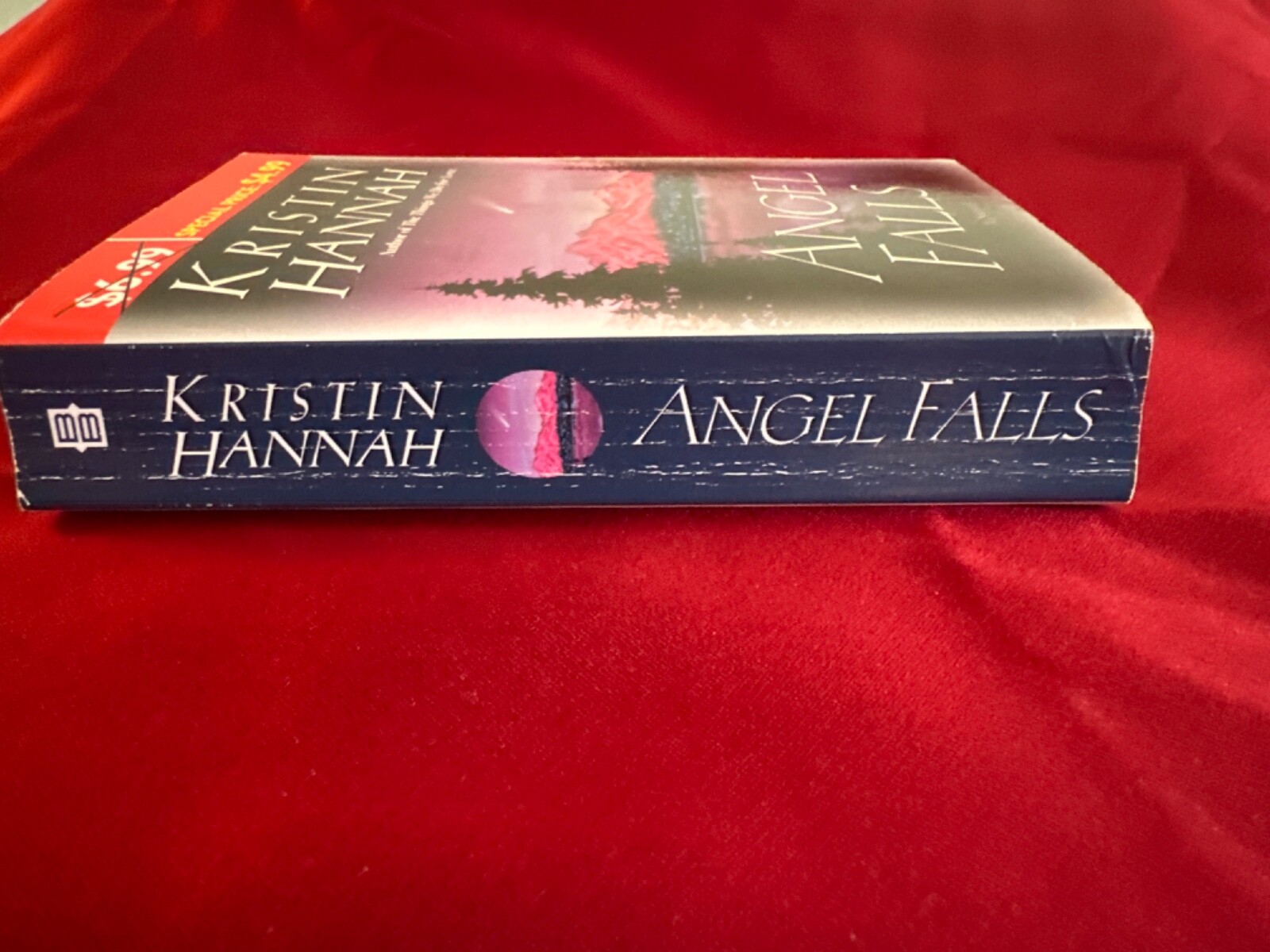 Angel Falls : A Novel by Kristin Hannah (2004, Mass Market)