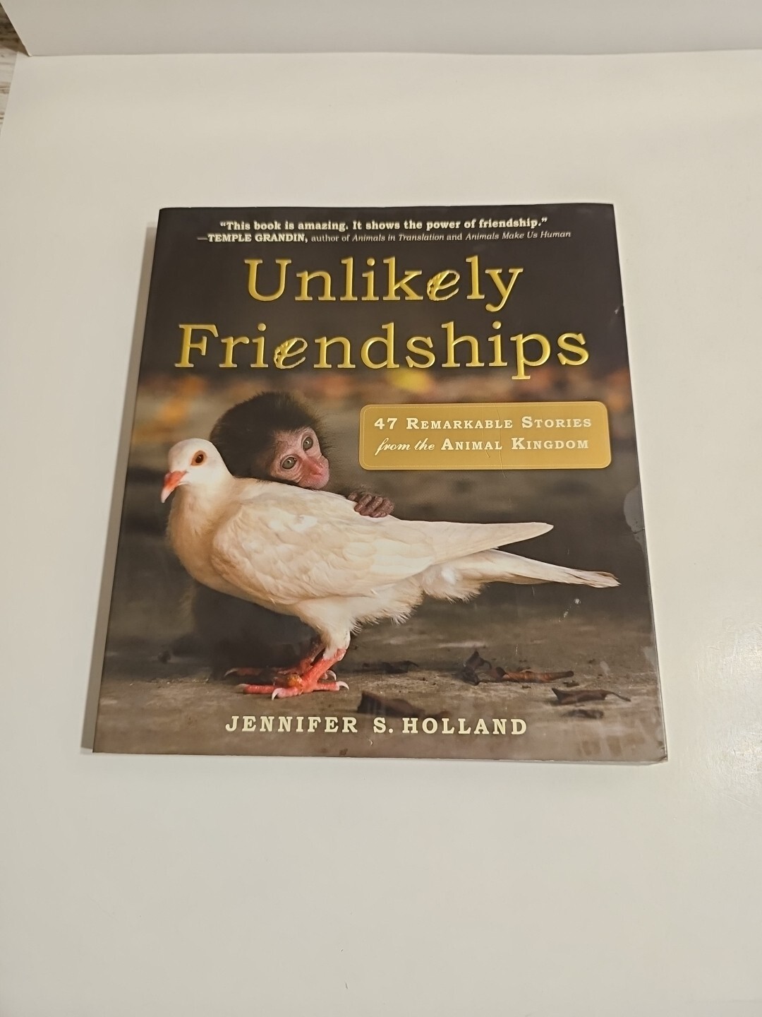 Unlikely Friendships 47 Remarkable Stories Animal Kingdom Jennifer Holland