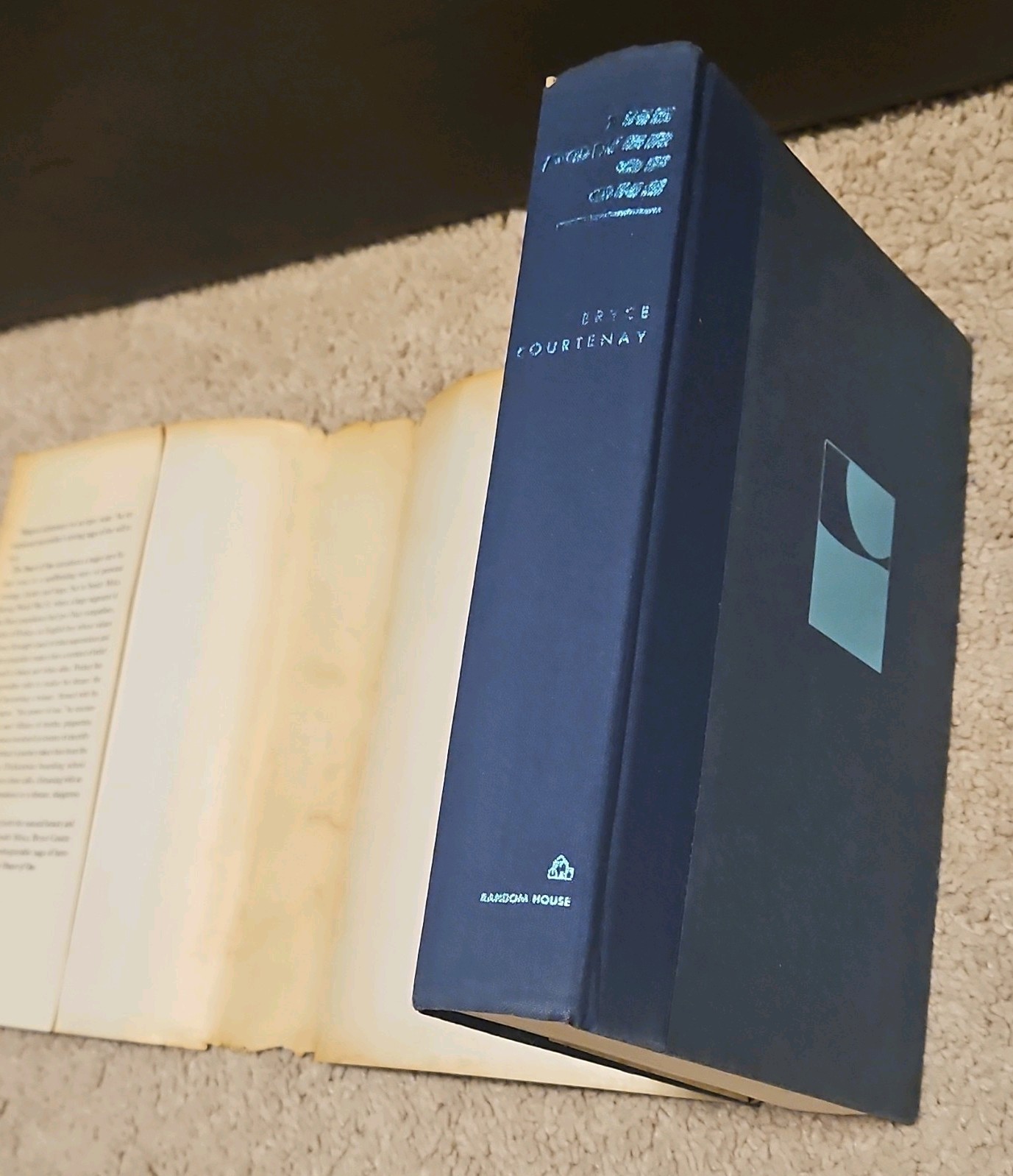 The Power of One by Bryce Courtenay (1989, Hardcover w/ Dust Jacket) BOMC Edtn.