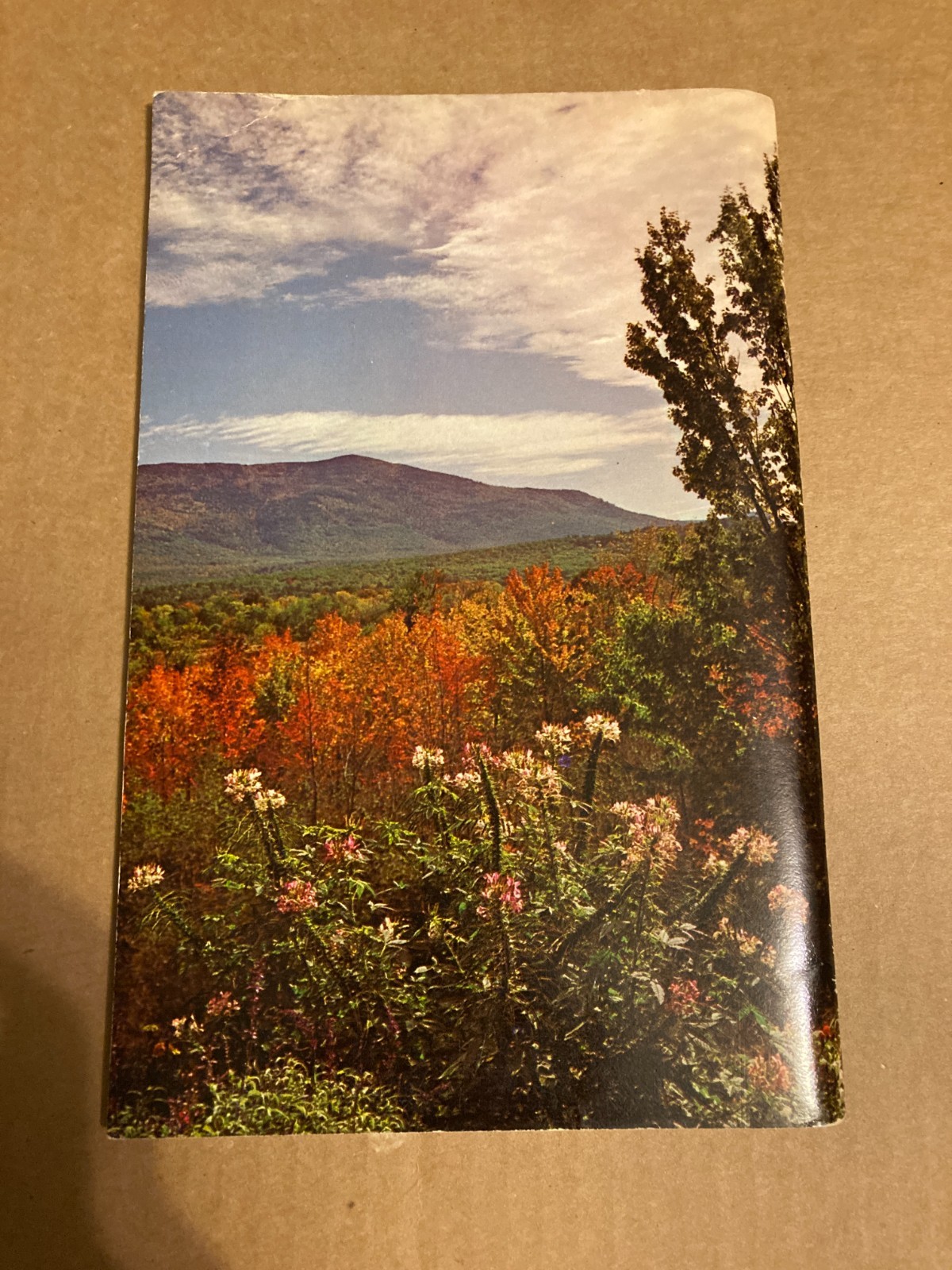 LOOK UNTO THE HILLS – V. RAYMOND EDMAN – MOODY PRESS FOURTH PRINTING 1973 VG.