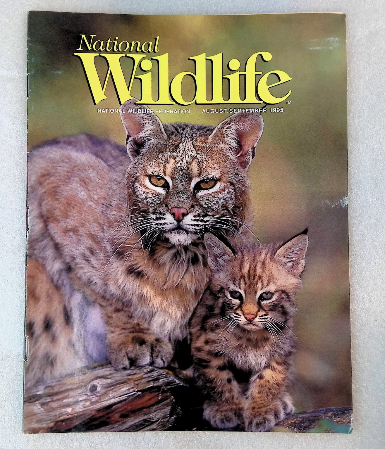 National Wildlife August September 1995 Bobcat Kitten Nature Magazine Federation