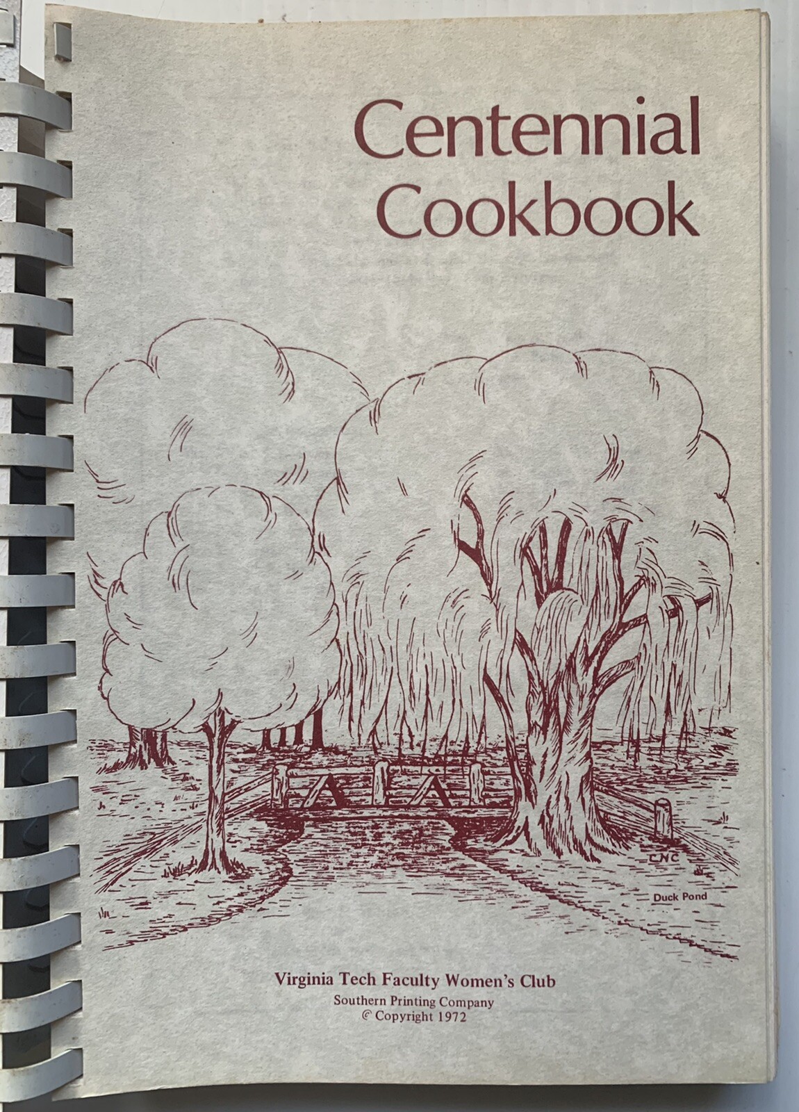 1972 BLACKSBURG, VA, VIRGINIA TECH FACULTY WOMEN’S CLUB COOKBOOK, 341 PAGES