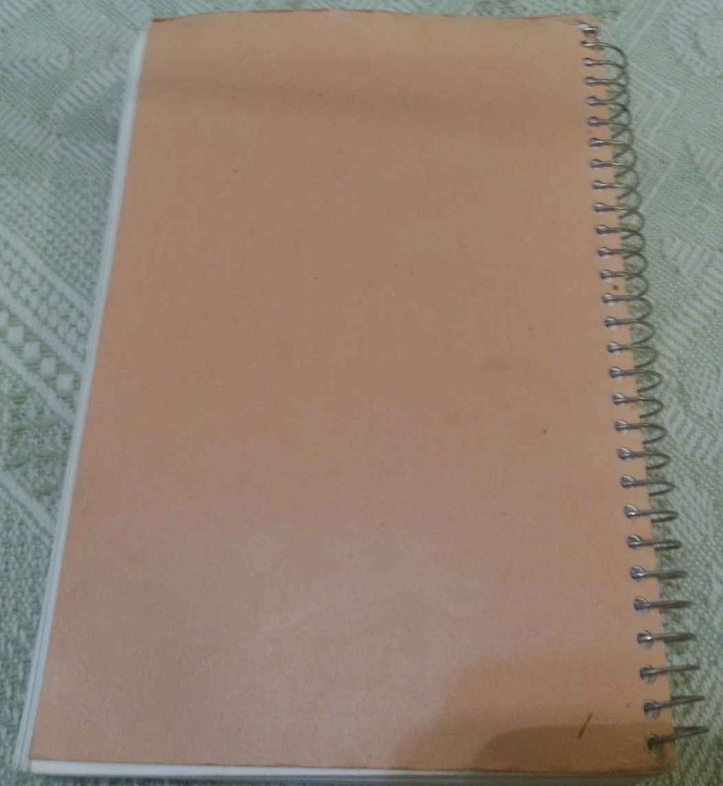 First PRESBYTERIAN Church Cookbook 260 pages LAKE PARK, IOWA Cookbook