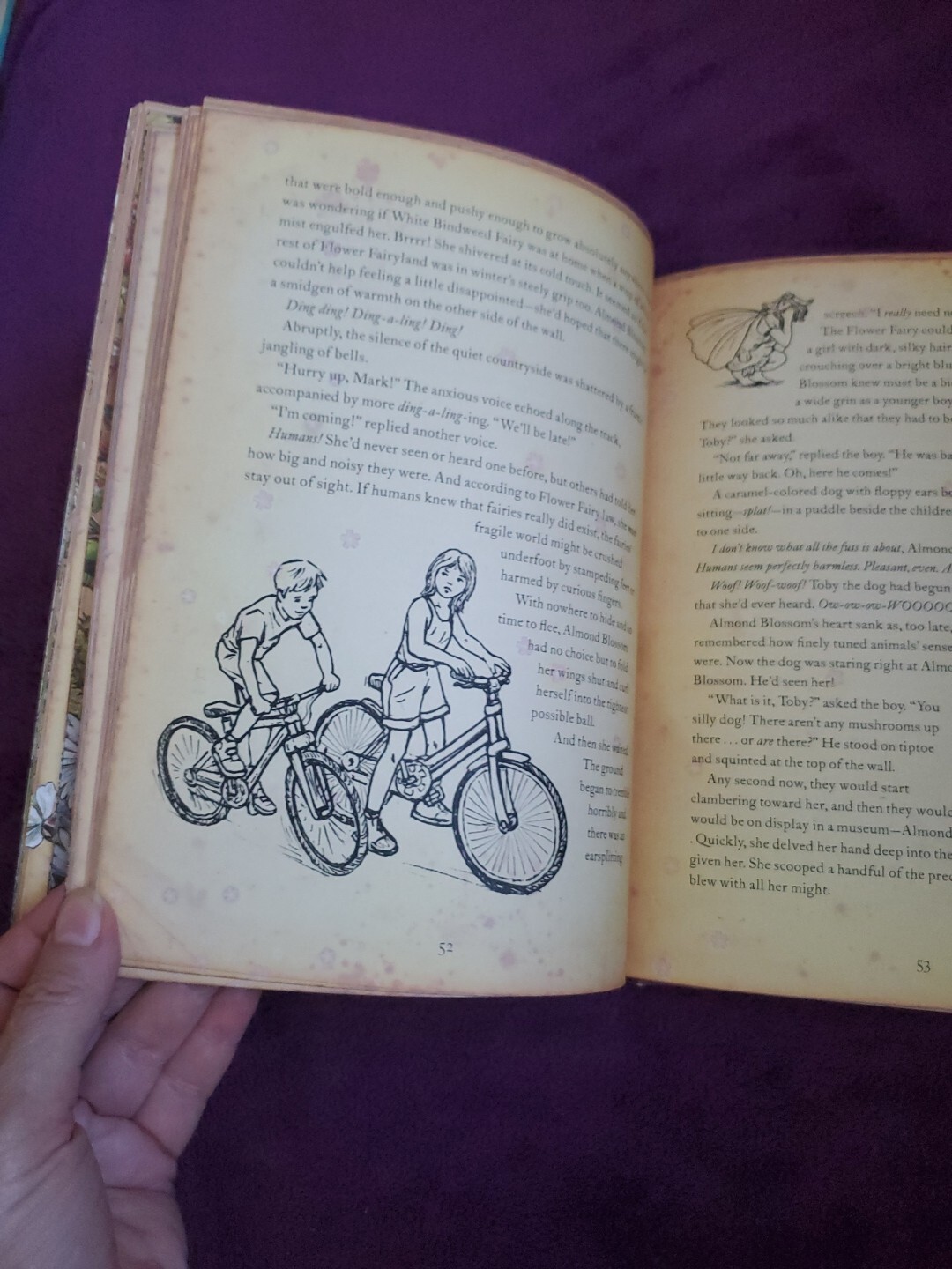 The Girls’ Book of Flower Fairies (HC, 2008) Frederick Warne (Crafts & Stories)