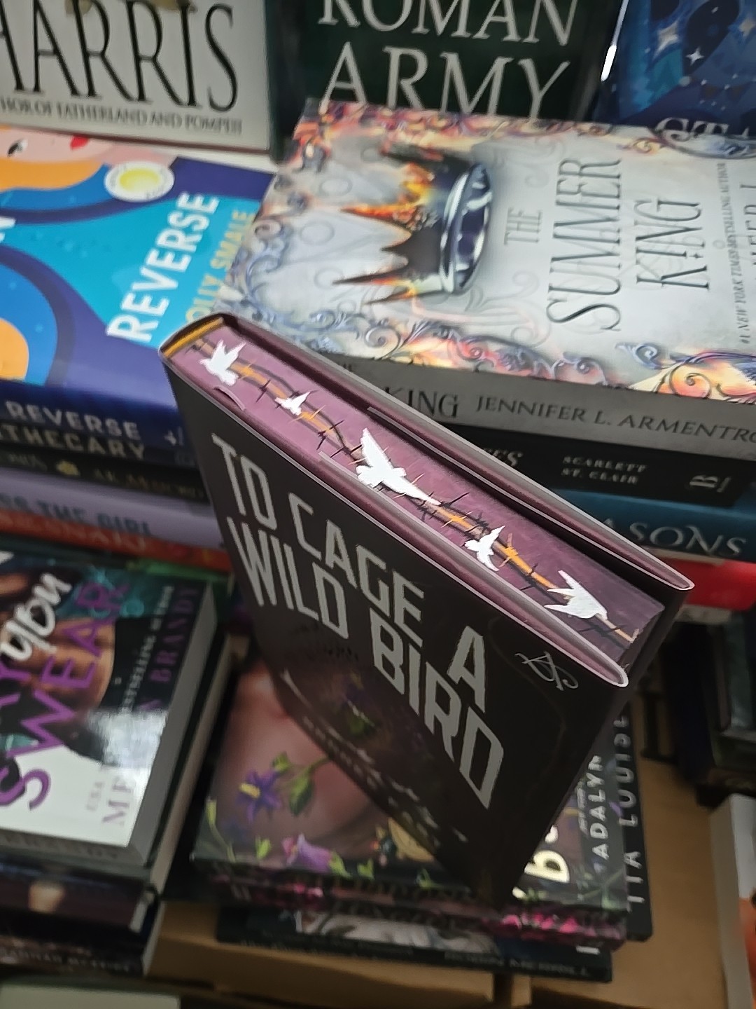 Exclusive adult dark fantasy Dystopian to cage a wild bird sprayed edges oop