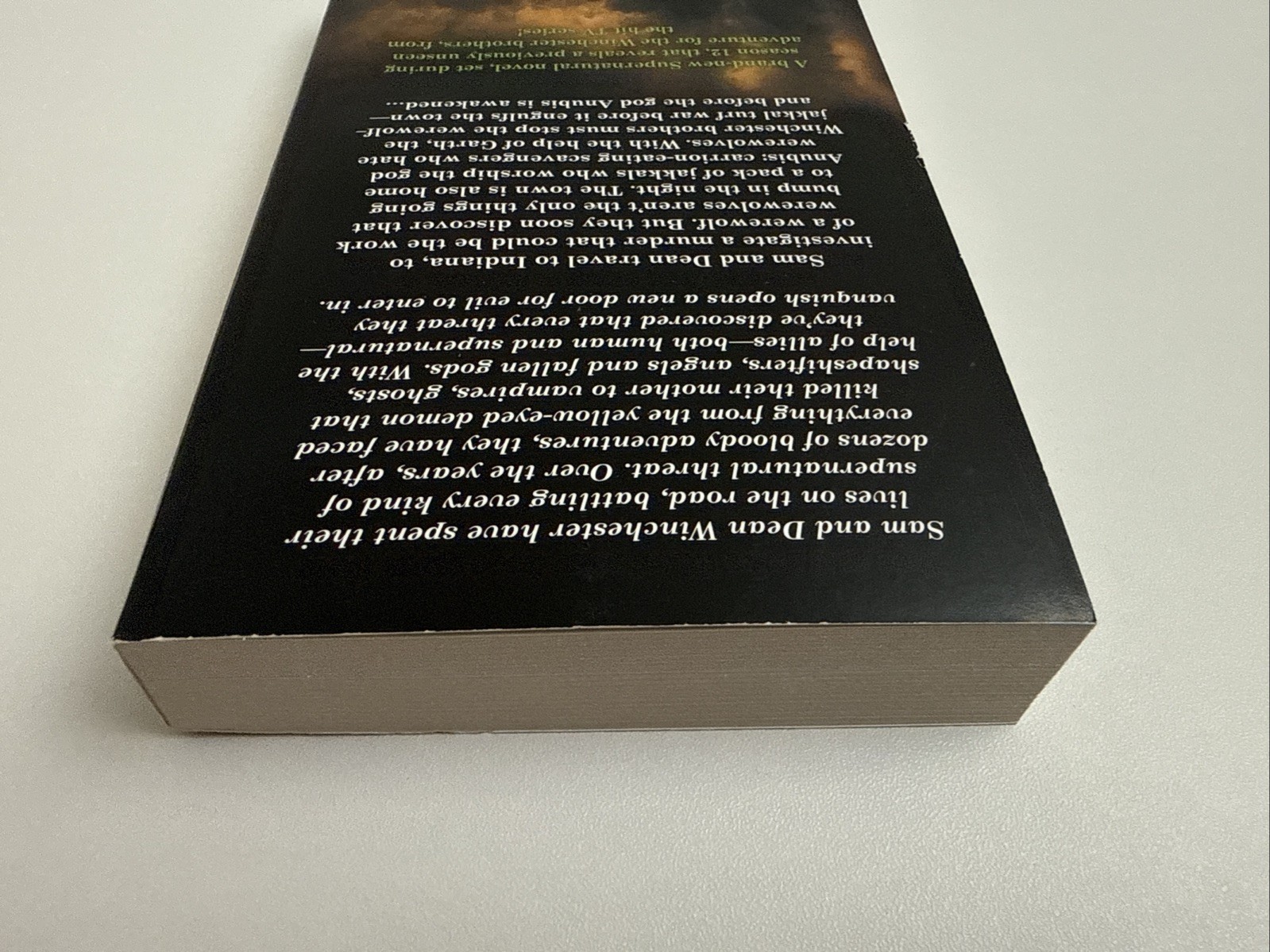 Supernatural – Children of Anubis by Tim Waggoner (2019, Mass Market)