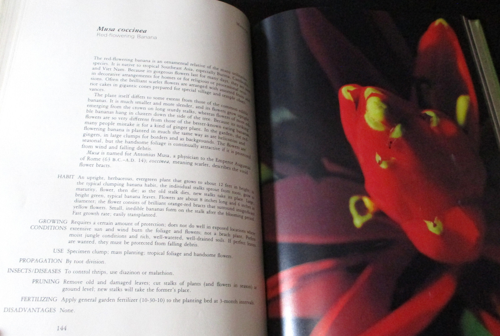 HAWAII GARDEN TROPICAL EXOTICS Horace Clay SIGNED HC 1ST 1977 Gardening Plants