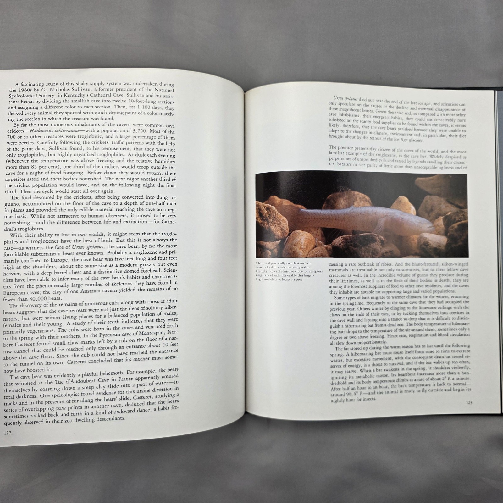 Vintage Underground Worlds Time-Life Planet Earth HC Black Caves Geology Book