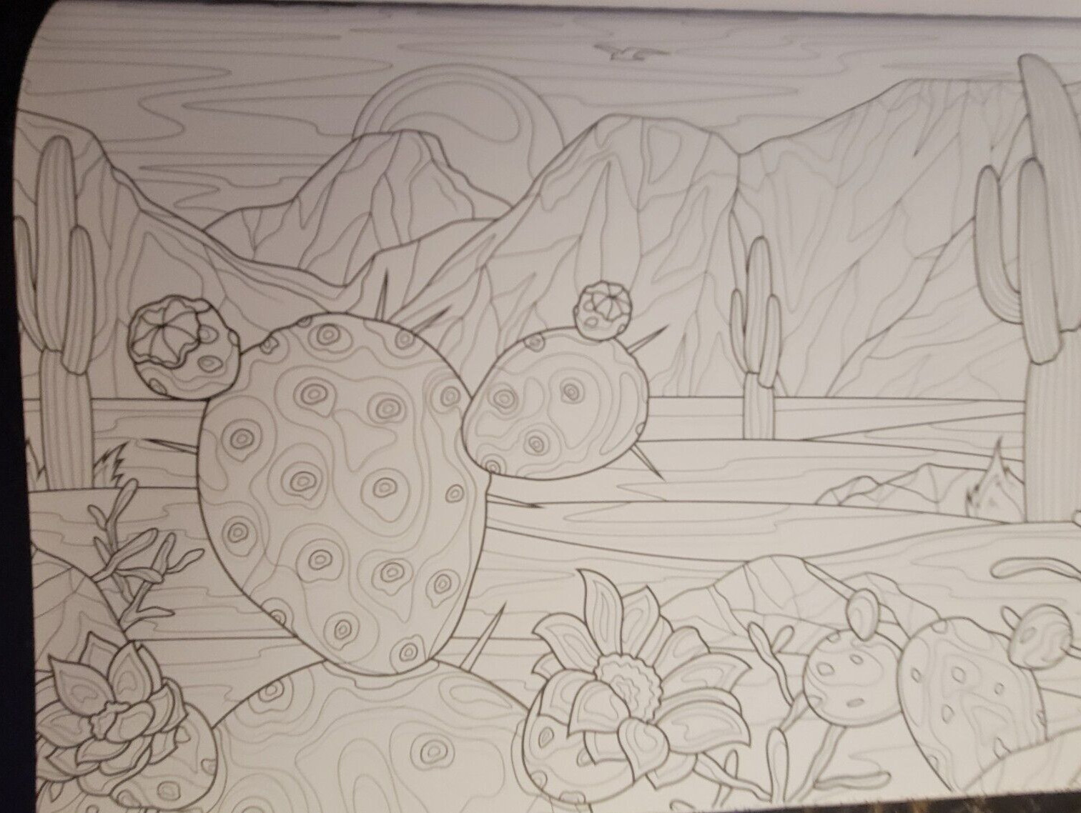 COLORS OF THE WILD Vol 22 Adult Coloring Book With 47 Prints Ready To Frame