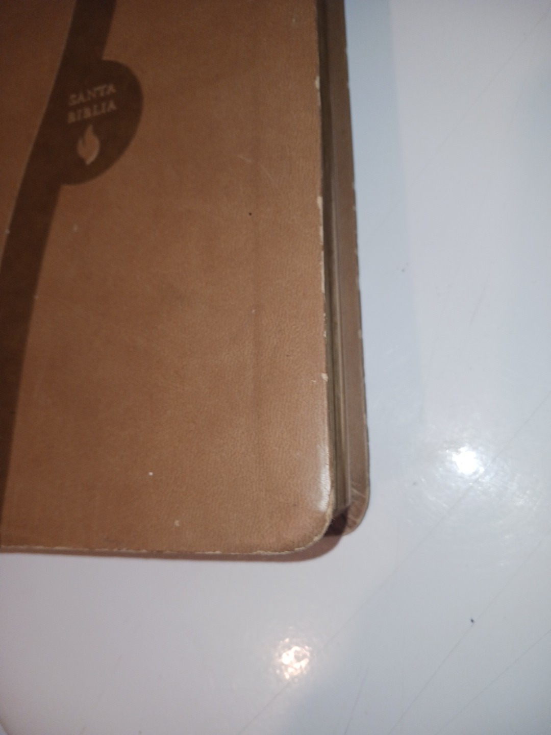 Biblia de Regalo N.B.D. Grupo Nelson Publishers 2008 Tan Soft Spanish Bible NBD