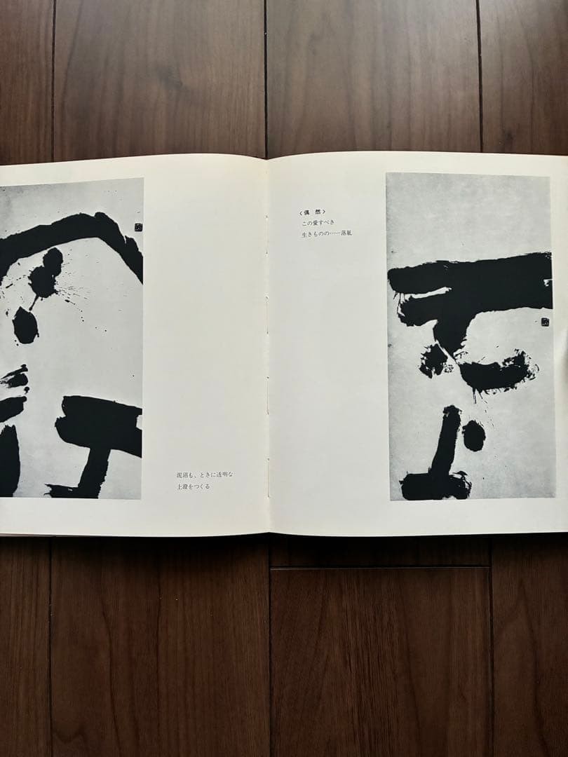 Roko Arai Works Collection Limited 300 Art Book calligraphy 24.5x21cm