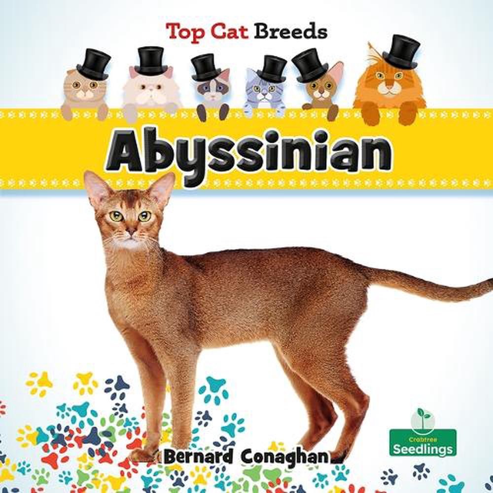 Abyssinian by Bernard Conaghan Hardcover Book