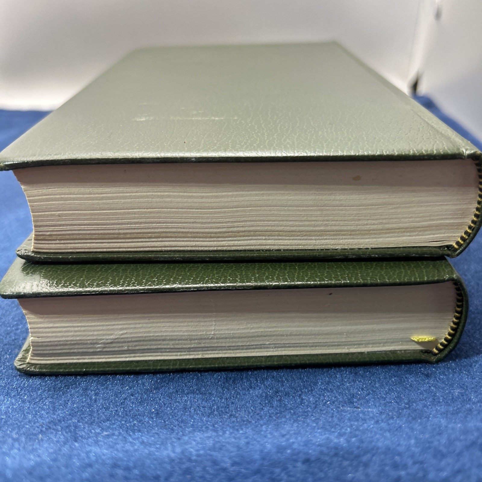 Complete Works of Charles Dickens Centennial Edition Heron Books Vol 1 & 2 Decor