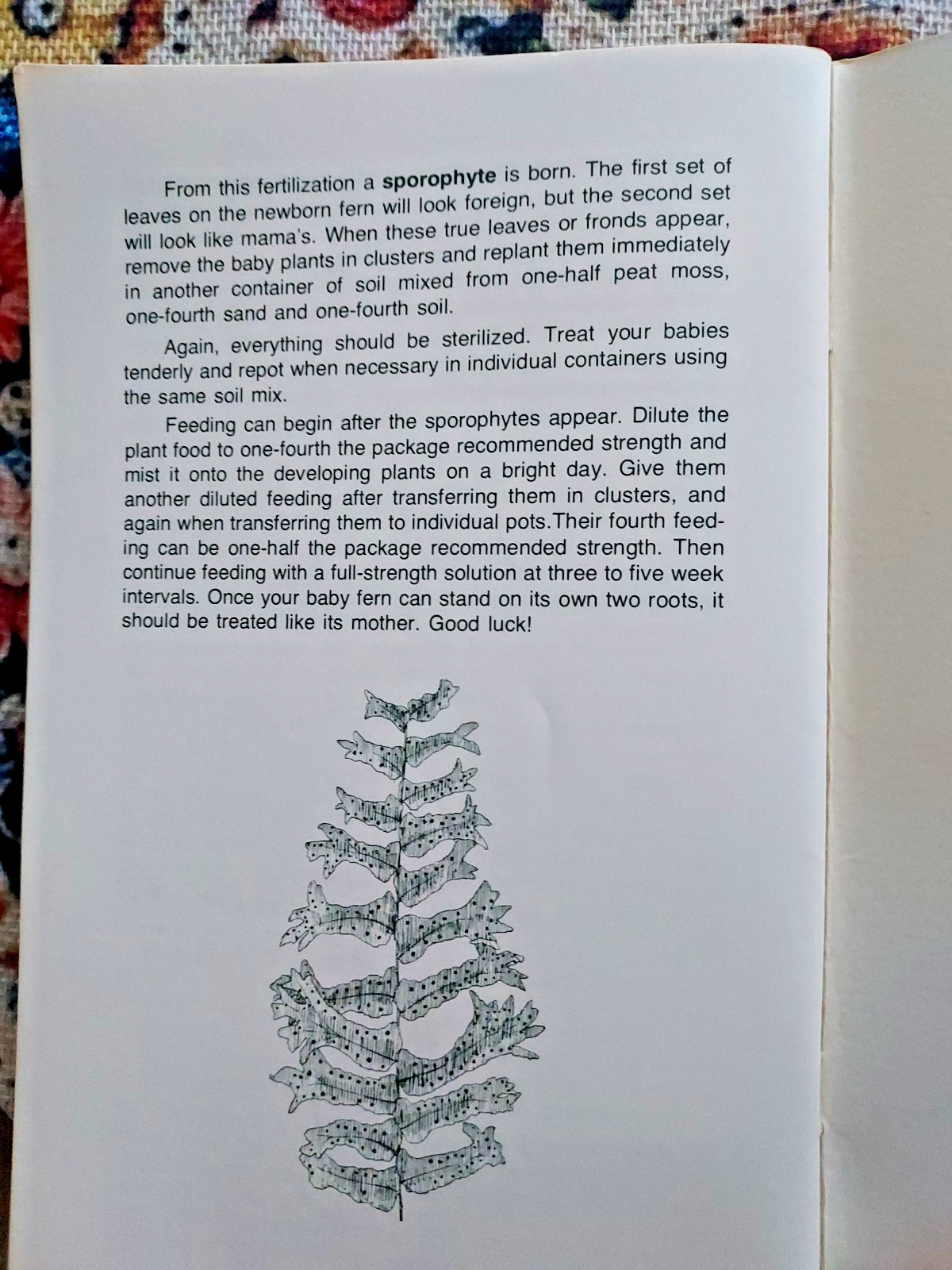 1976 Sex and the Single Plant Propagation Booklet Rex Mabe Potpourri Press