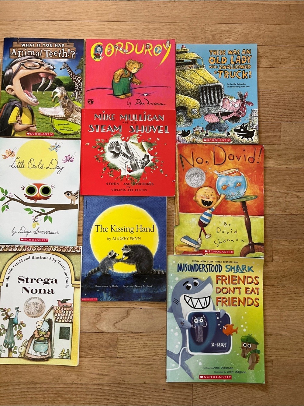 Lot of 11 Scholastic Paperback Kids Books