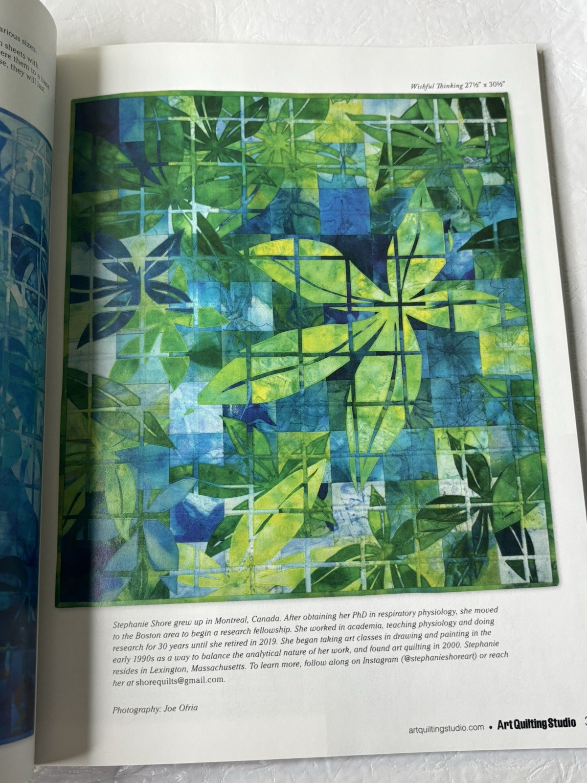 Art Quilting Studio Autumn Sep Oct Nov 2022 Sewing Crafts Fibers Irene Roderick