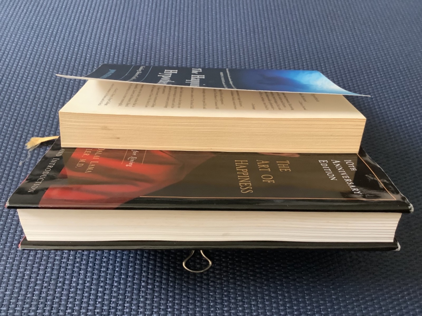 The Art of Happiness Dalai Lama Hypothesis Jonathan Haidt Happy Psychology Books