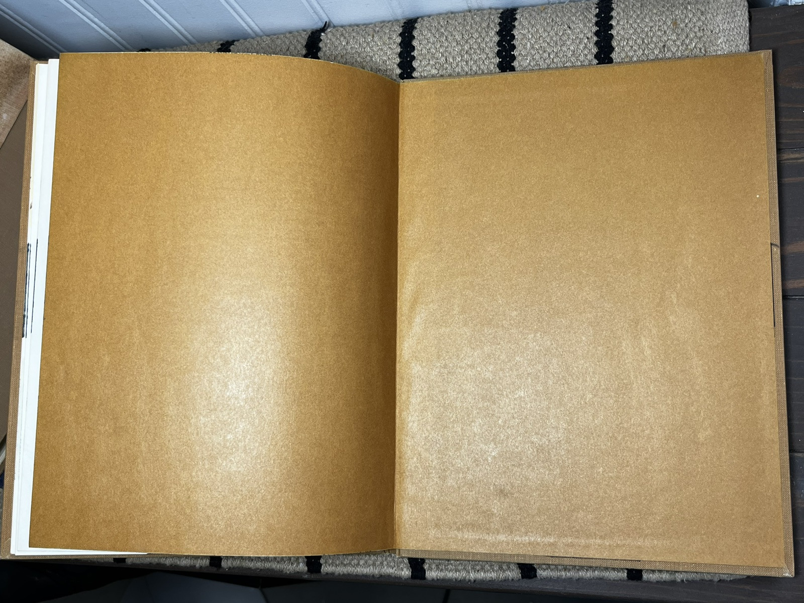 Animal Camouflage, Dorothy Shuttlesworth, illustrated by Matthew Kalmenoff HB XL