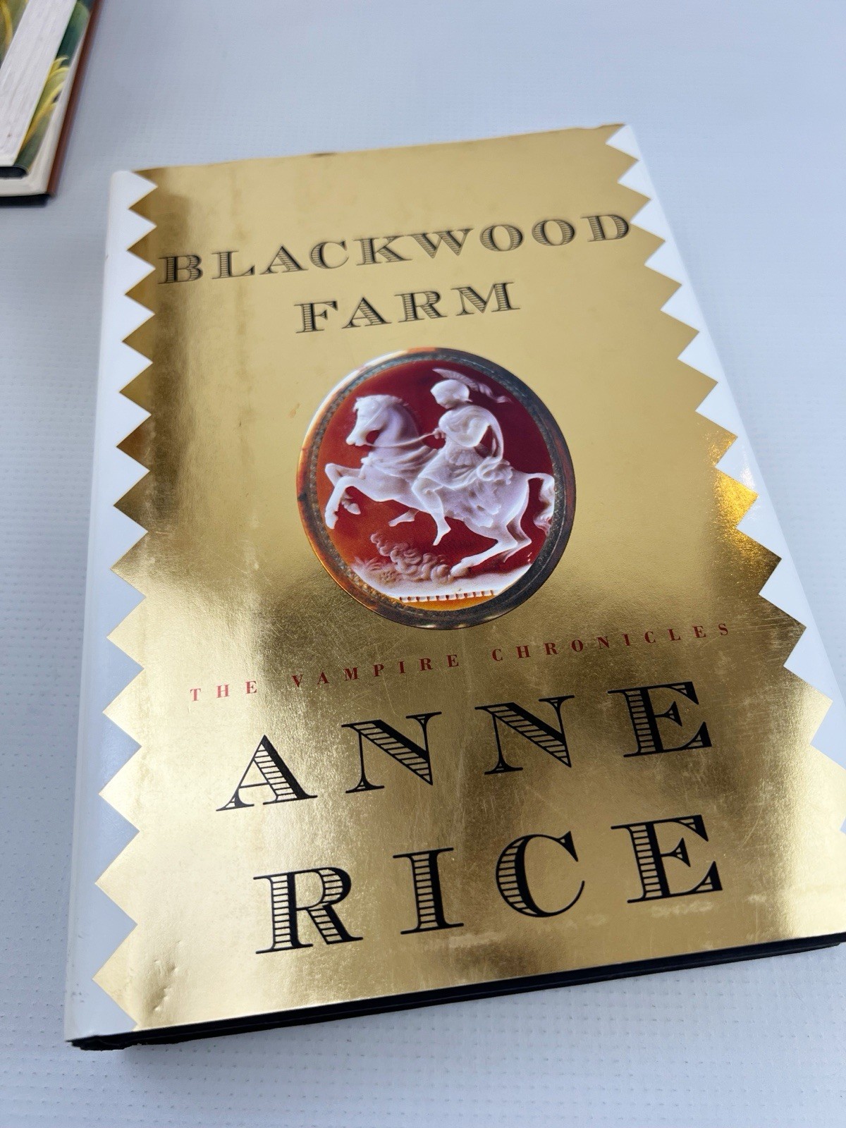 Anne Rice Hardcover Book Lot Vampire Others Most First Editions Collection Of 8