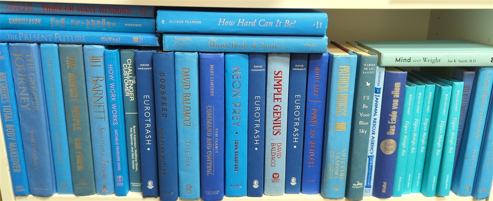 Random Lot of 10 BLUE Staging, Decor, Prop, Beautiful HC books-lettering varies