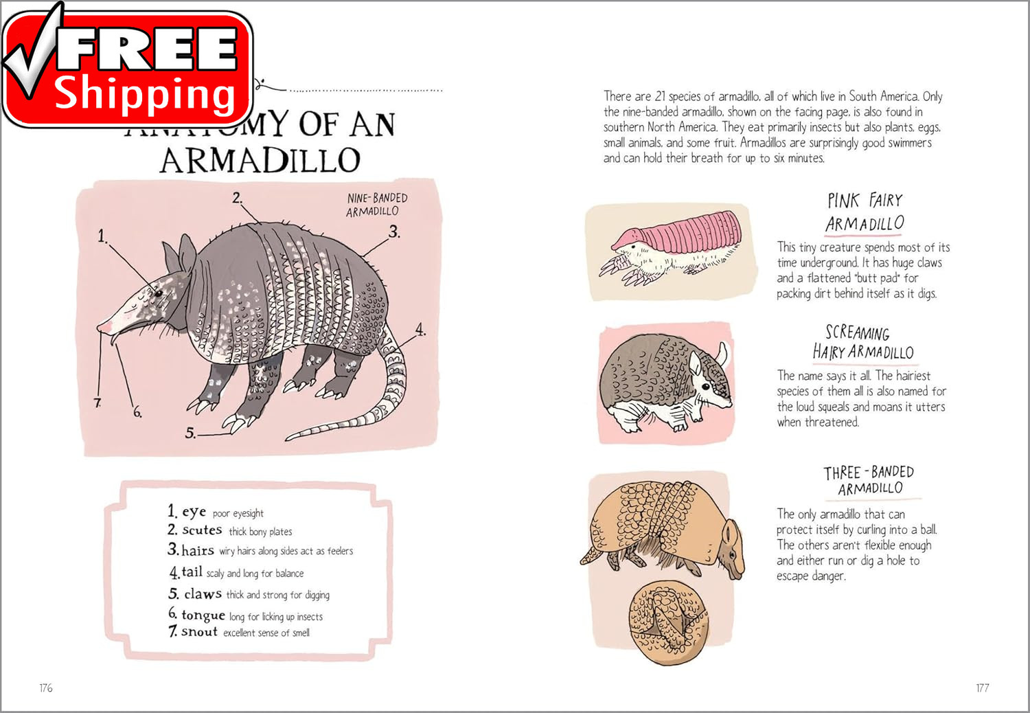Wildlife Anatomy: the Curious Lives & Features of Wild Animals around the World