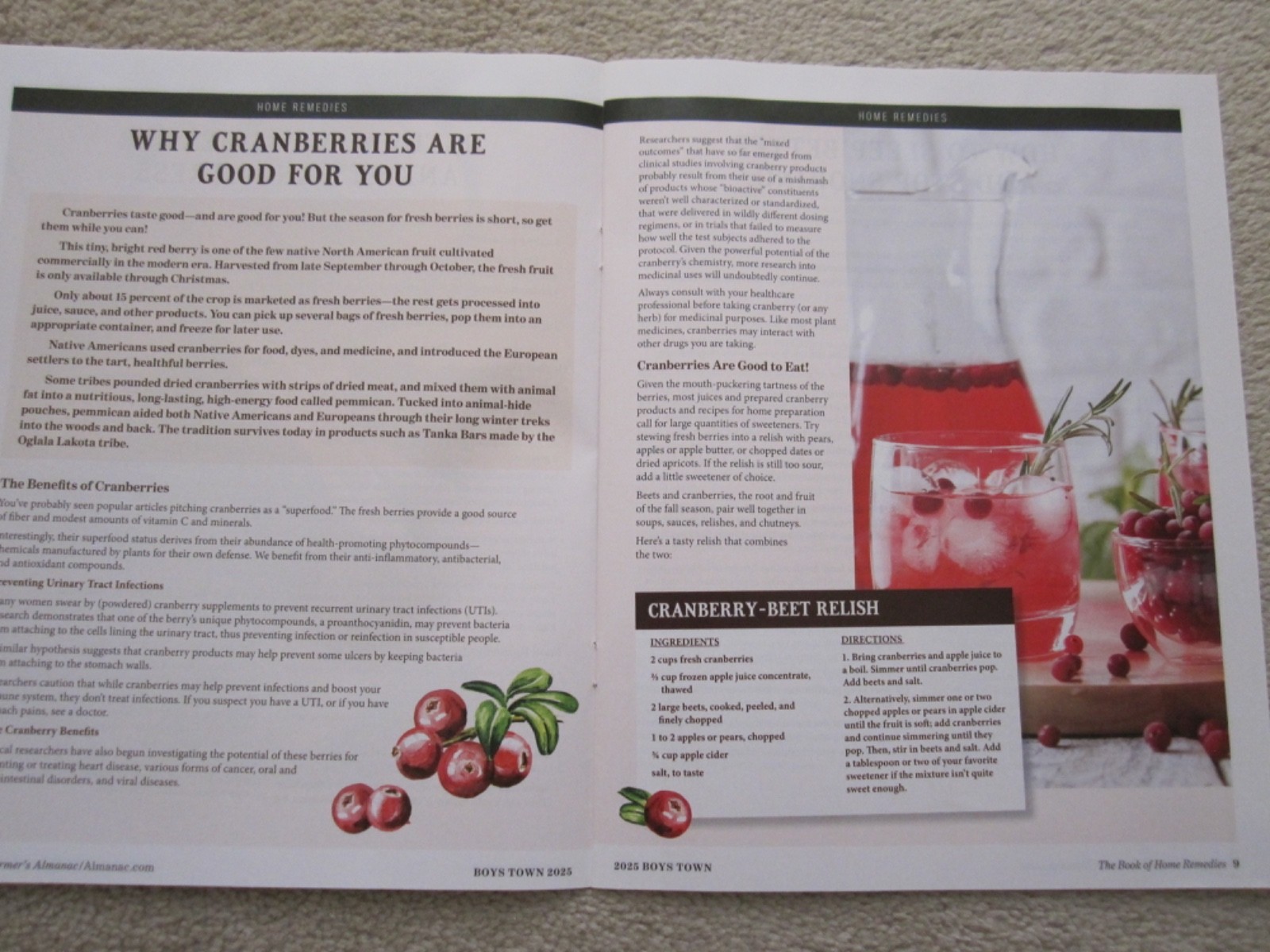 The Old Farmer’s Almanac Book of Home Remedies, 2024 & 2025, Boys Town Press