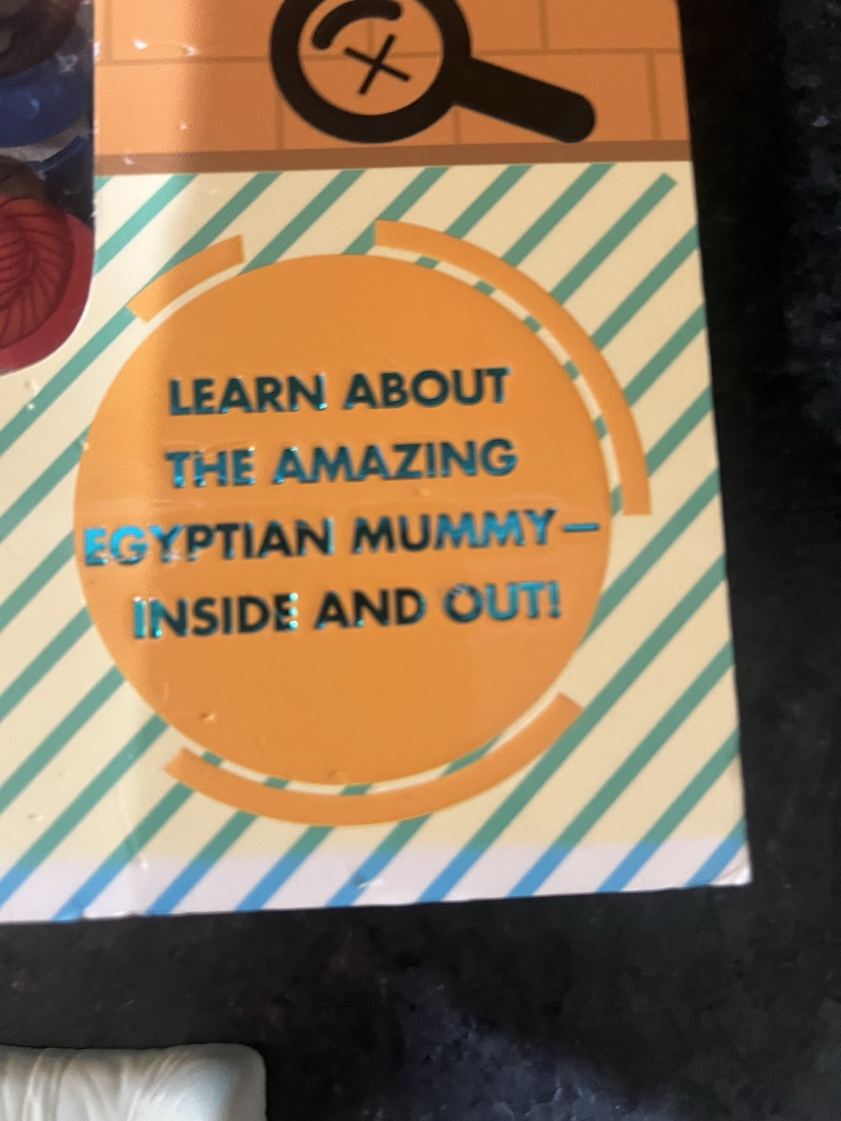 Uncover an Egyptian Mummy ,Large Book 12”