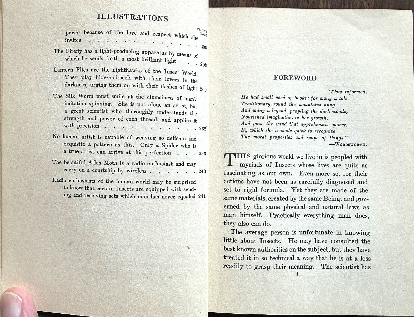 1924 1st Ed PERSONALITY of INSECTS by R. Dixon & B. Eddy HB/247pp/ILLUSTRATED