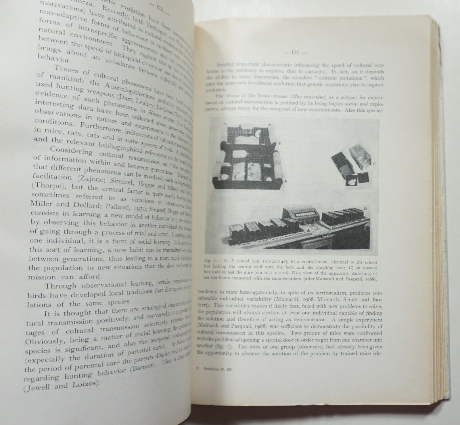 L’Origine dell’uomo 1973 The Origin of Man Darwin Evolution Paleoanthropology