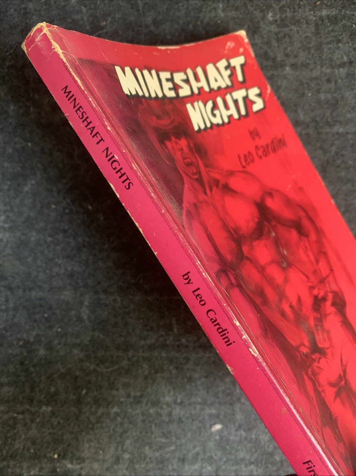 Mineshaft Nights by Leo Cardini (1990, Trade Paperback) : Gay Erotica