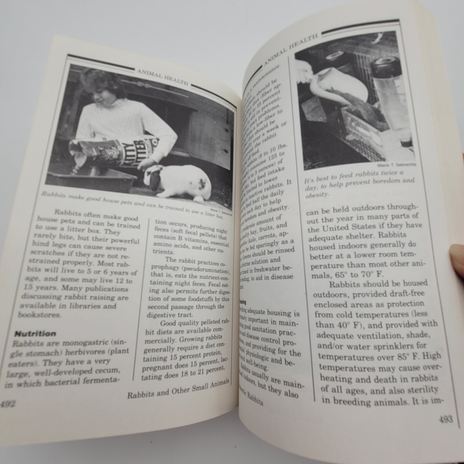 Animal Health Livestock and Pets 1984 Yearbook of Agriculture