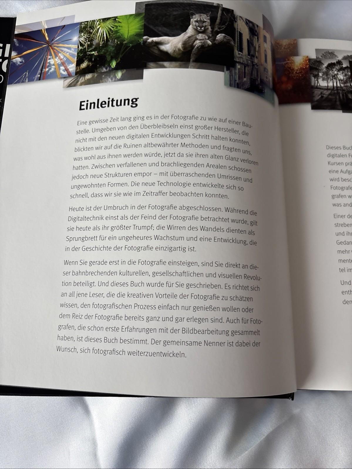 Digitale Fotografie Fotografieren wie die Profis von Tom Ang Art Bestseller HC