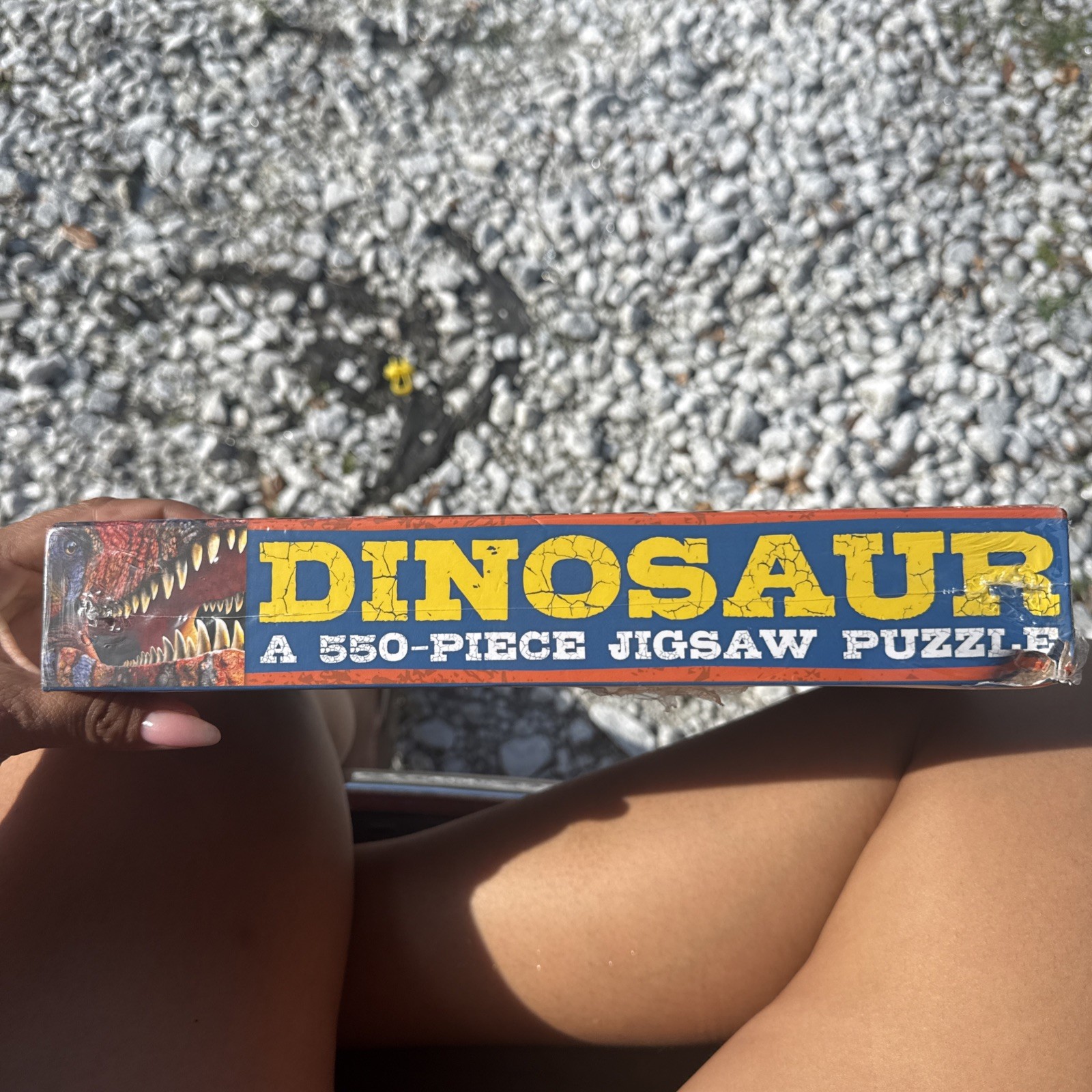 Dinosaur T-Rex Puzzle 550 pcs 18×24 NIB Sealed
