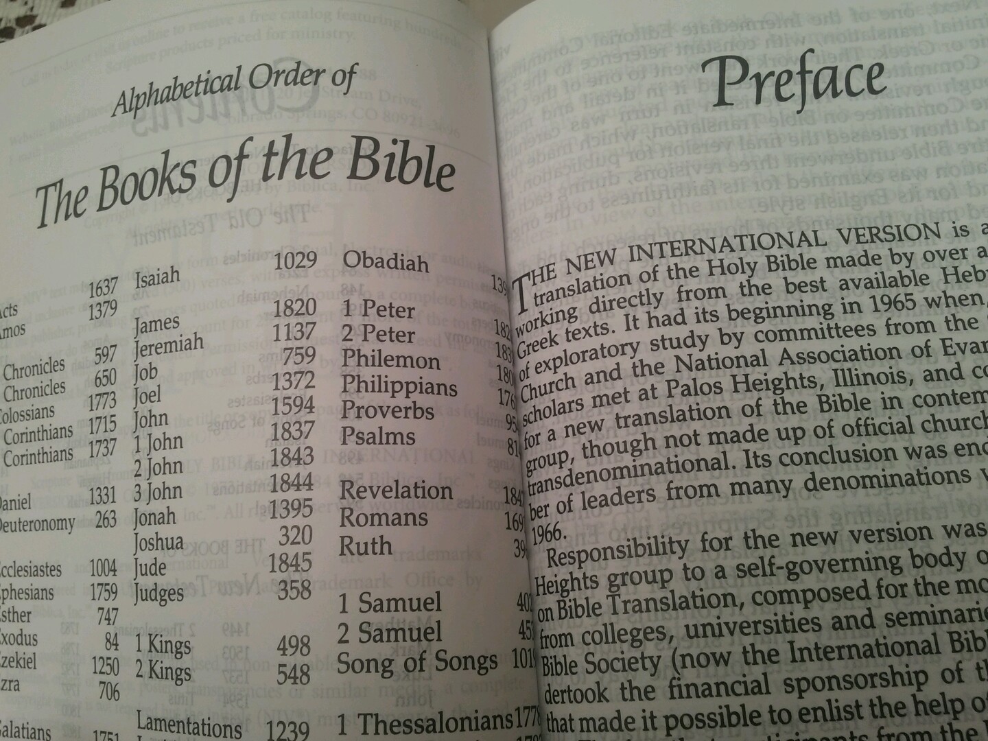 84 NIV GIANT PRINT — NEW GIANT Print Bible 1984 New International Version LG