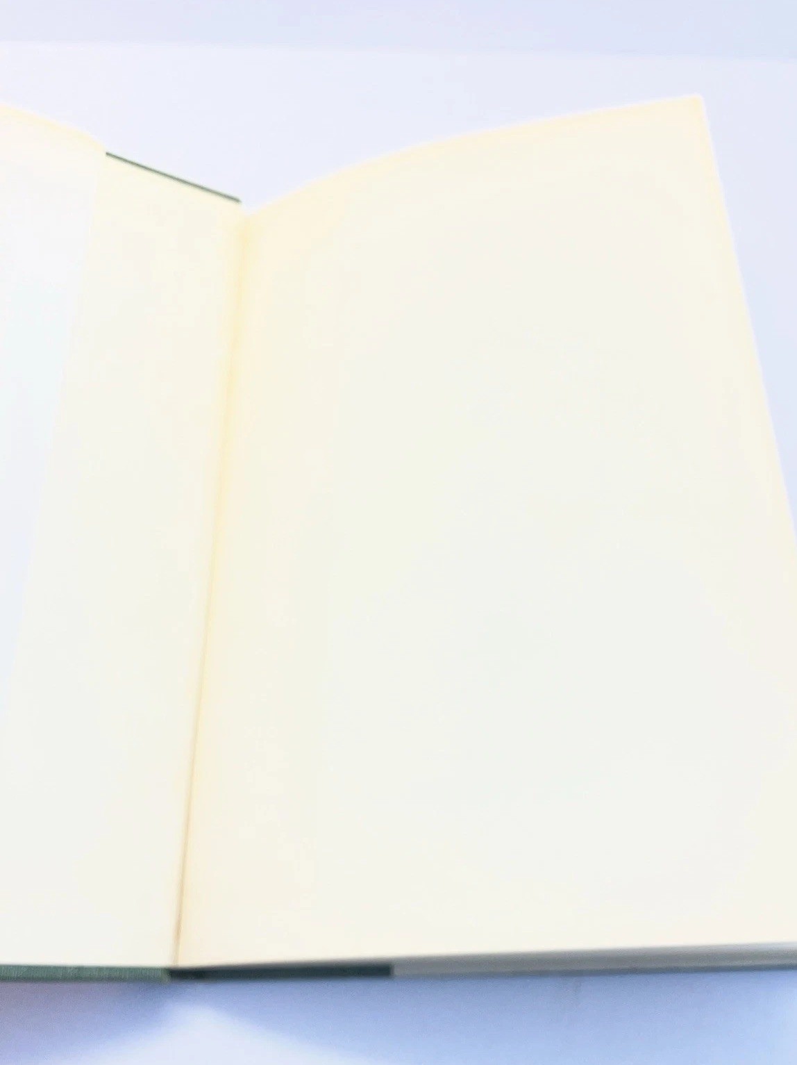 Race and Reason, A Yankee View By Carleton Putnam 1961 HCDJ