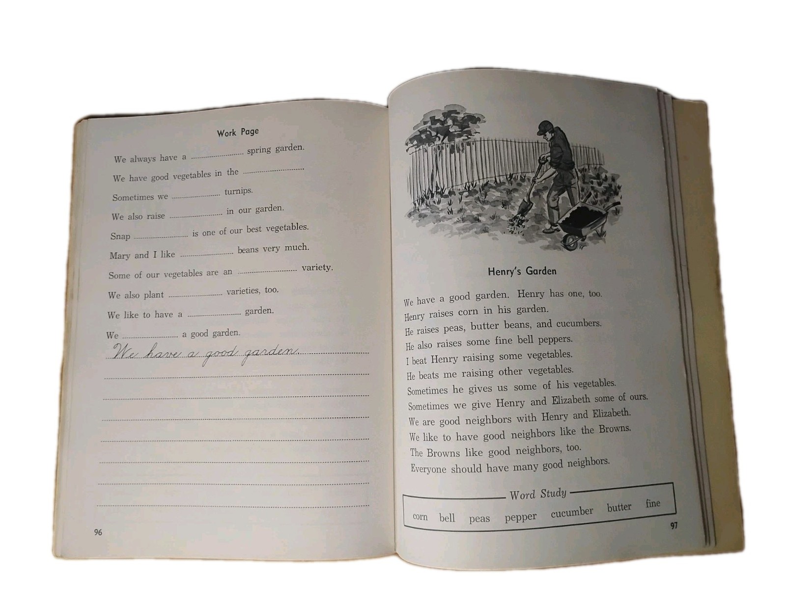 Adult Reader M.S. Robertson Vintage Literacy Workbook Steck-Vaughn Illustrated